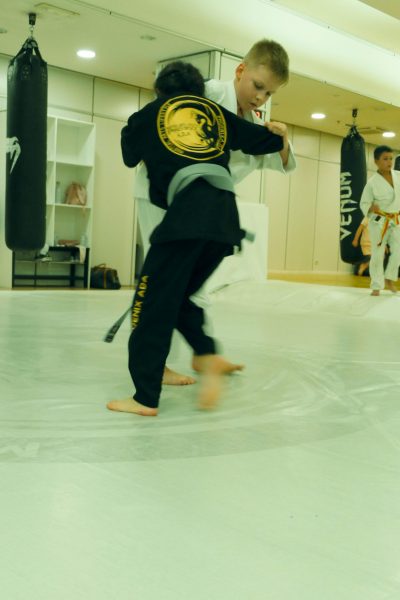 Judo kids (4)